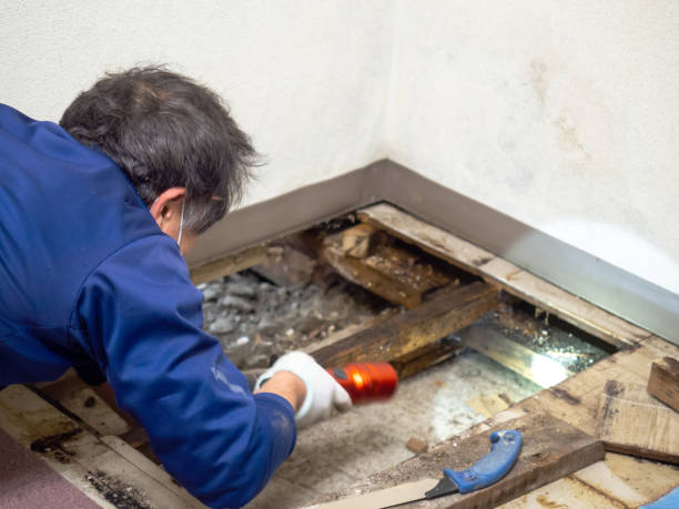 Best Mold Testing  in Pennington, NJ