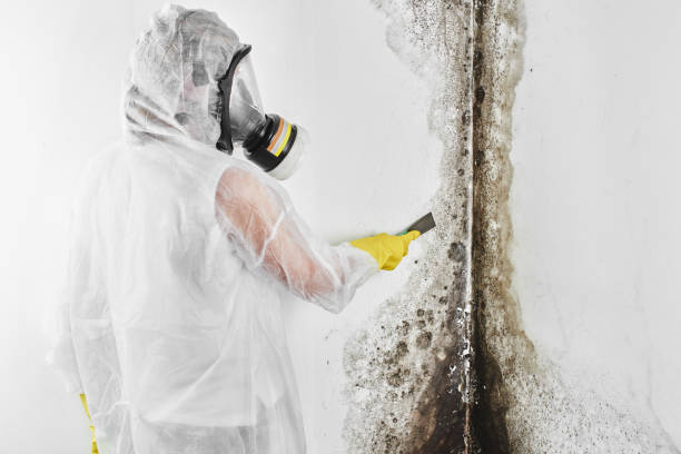 Best Mold Testing  in Pennington, NJ
