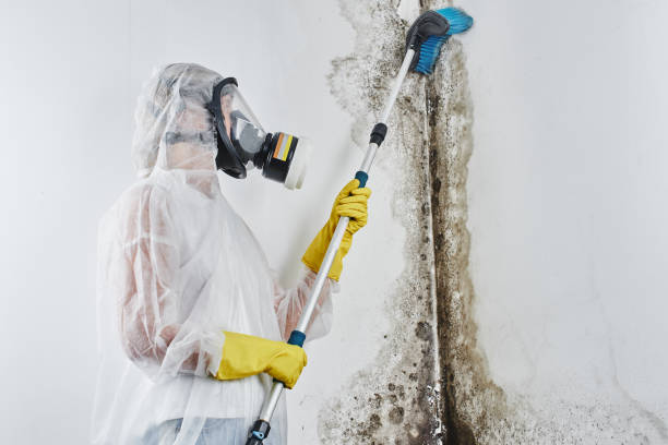 Best Water Damage Restoration  in Pennington, NJ