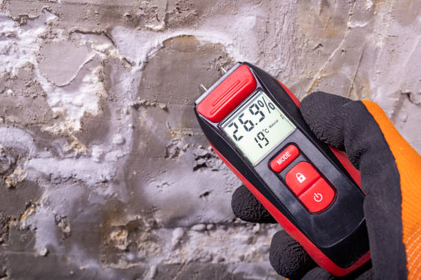 Best Mold Damage Repair  in Pennington, NJ