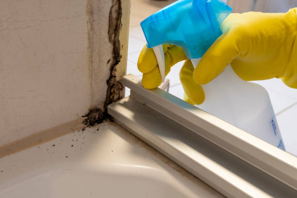 Best Professional Mold Removal  in Pennington, NJ