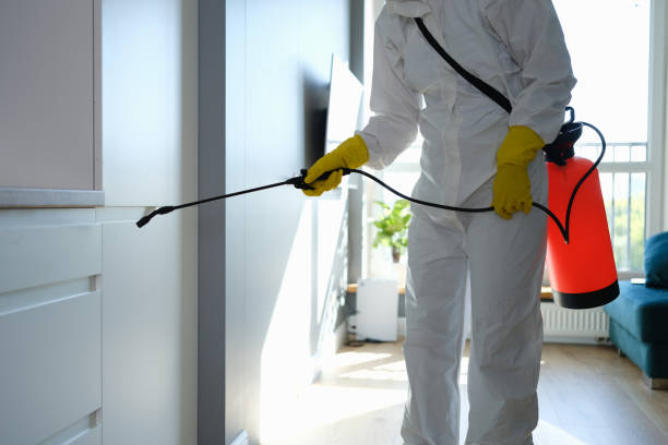 Best Local Mold Removal Service  in Pennington, NJ