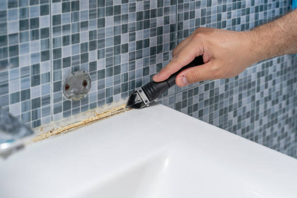Best Residential Mold Removal  in Pennington, NJ